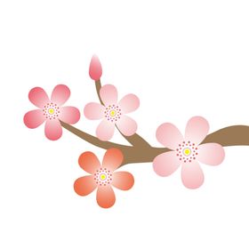 墨绿花枝底纹