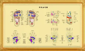 足部反射区挂图