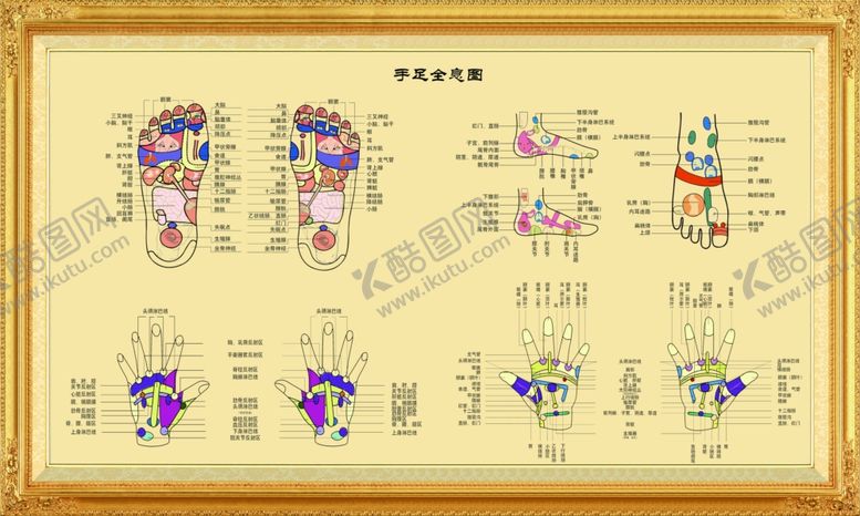编号：21148610162229075985【酷图网】源文件下载-足部反射区高清挂图