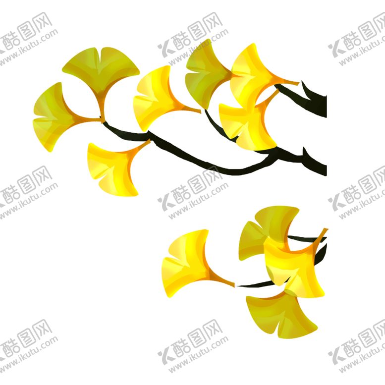 编号：26610609101702292954【酷图网】源文件下载-秋天银杏叶