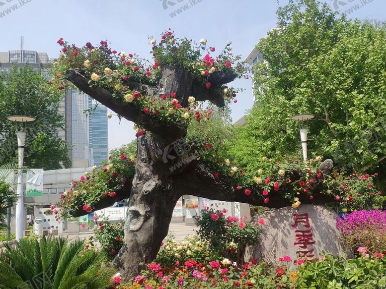 编号：78884711011001409285【酷图网】源文件下载-树上的花朵