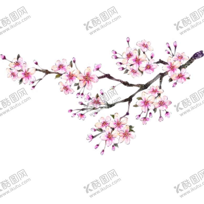 编号：30567204221141228411【酷图网】源文件下载-桃花