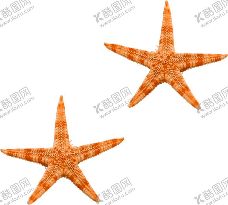 编号：97591705021018367535【酷图网】源文件下载-海星