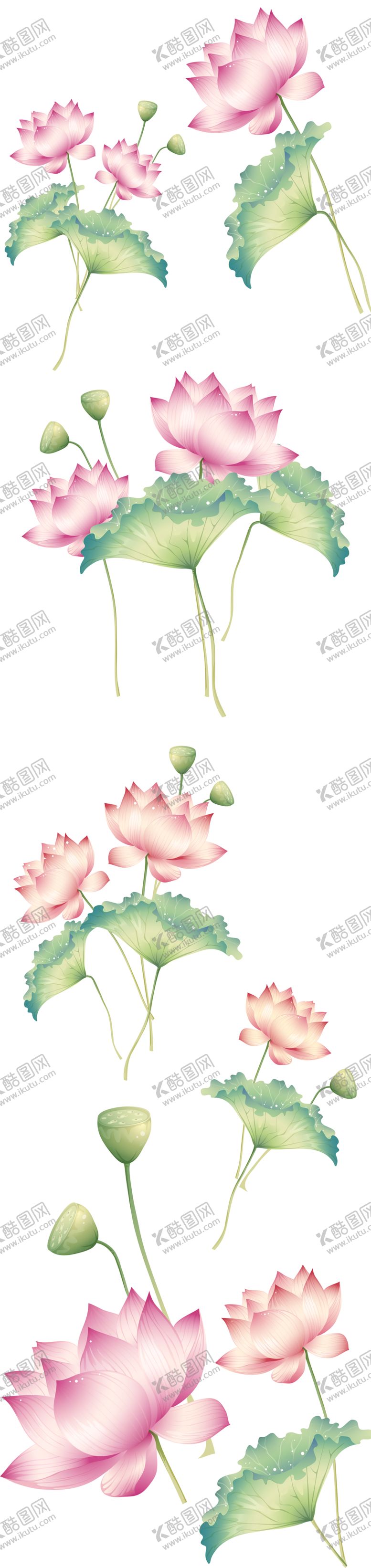 编号：10218412080430084314【酷图网】源文件下载-免扣荷花素材