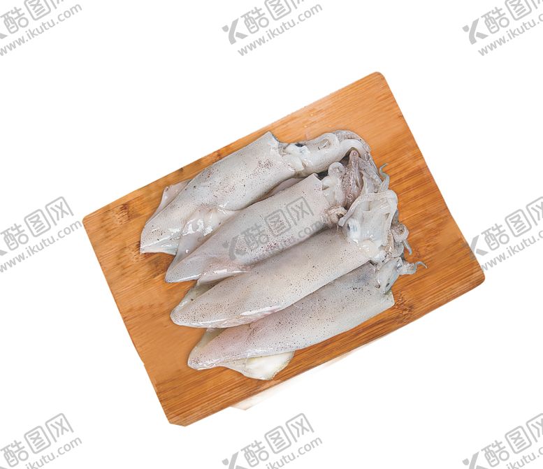 编号：98373010151843198299【酷图网】源文件下载-鱿鱼