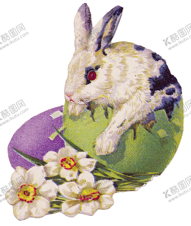 编号：88245507050944499517【酷图网】源文件下载-动物兔子油画
