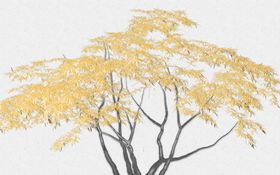 电视背景墙树枝鸟树杆图