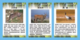 珍稀野生保护植物