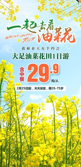 小清新樱花节春季赏花旅游海报