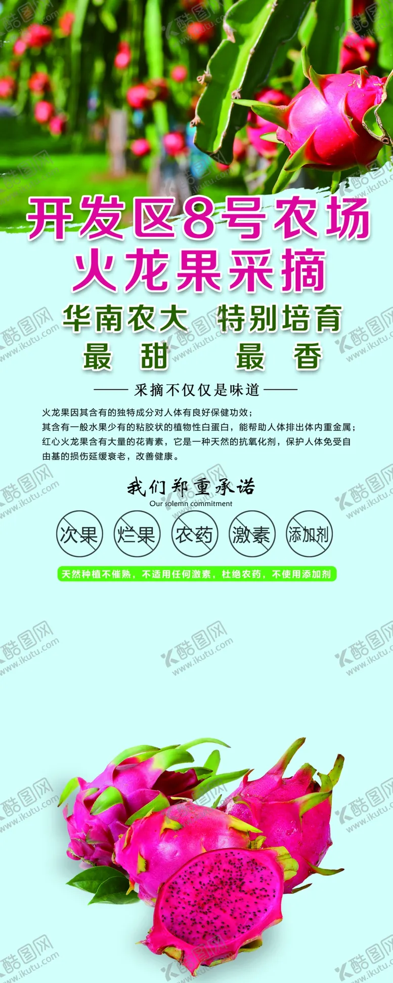 编号：25933901140057087400【酷图网】源文件下载-火龙果易拉宝