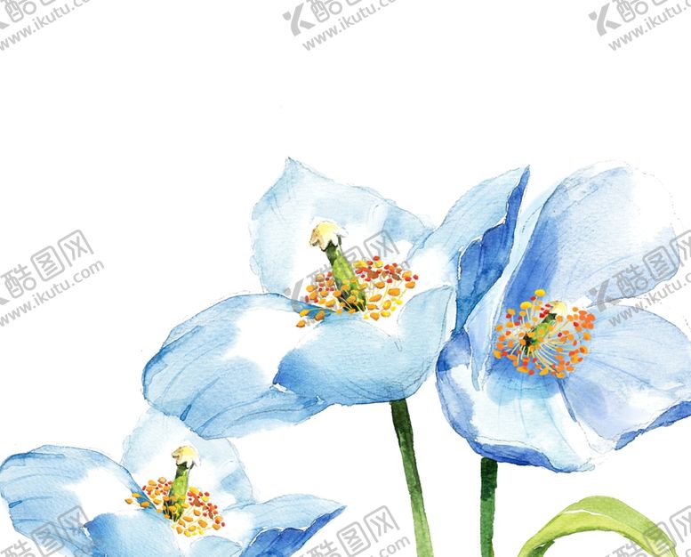 编号：86925909150945103167【酷图网】源文件下载-banner背景