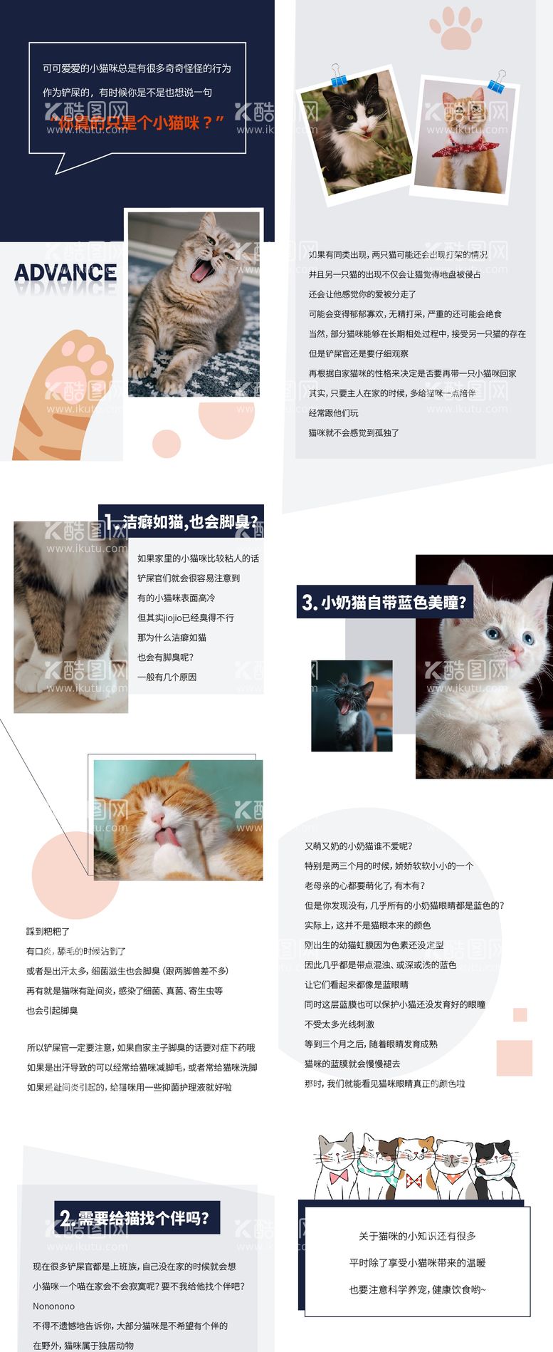 编号：16288311250307155976【酷图网】源文件下载-猫咪科普