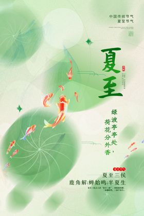夏至时节荷塘灵动之景
