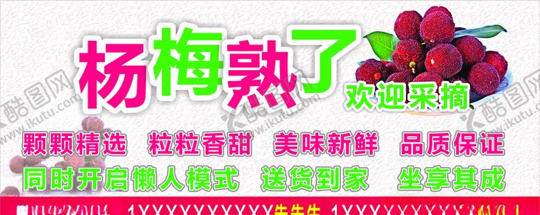 编号：74132010060454411226【酷图网】源文件下载-杨梅熟杨梅梅