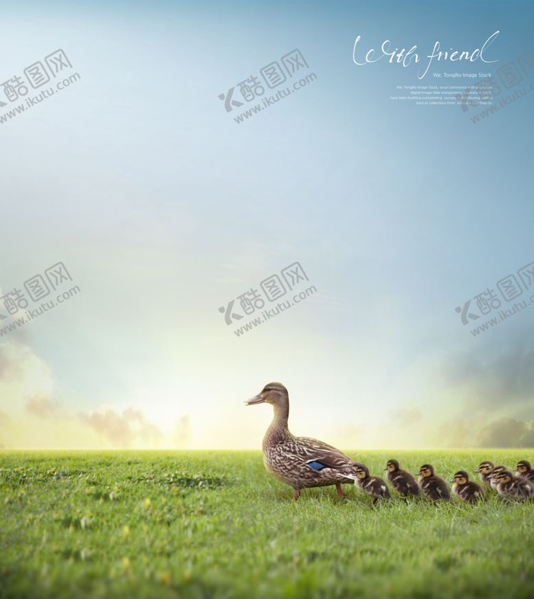 编号：45032010070015099616【酷图网】源文件下载-简约创意小清新手绘插画海报图片