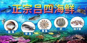 海报海报