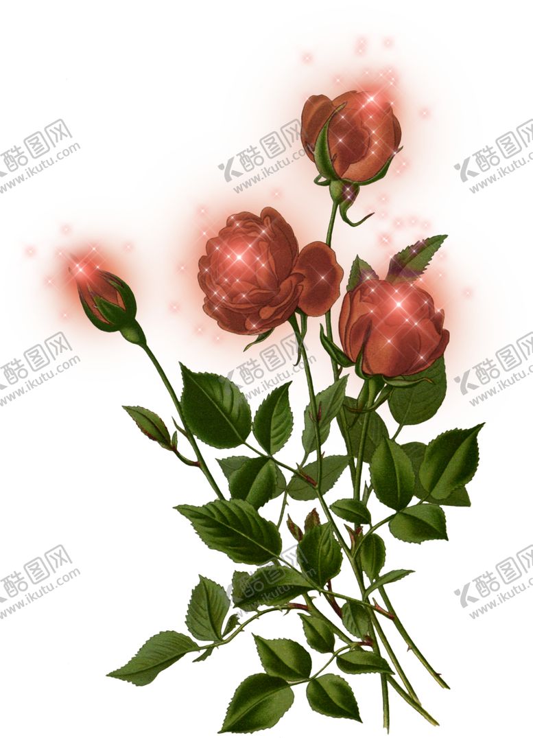 编号：97641712101744416653【酷图网】源文件下载-花卉背景