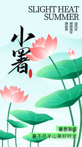 二十四节气小暑海报大24大