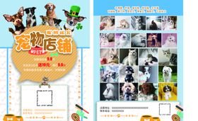 宠物单页A4