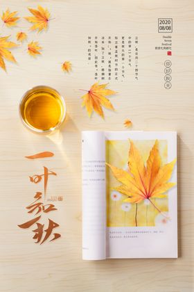 极简原创一叶知秋海报