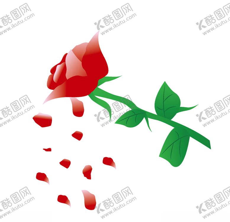 编号：79646605041542406477【酷图网】源文件下载-玫瑰