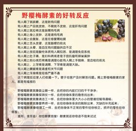 野樱梅酵素海报