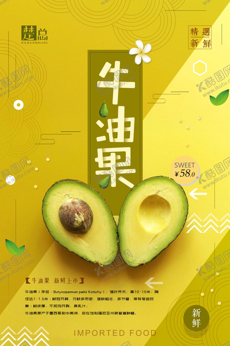 编号：13569009280526183260【酷图网】源文件下载-牛油果