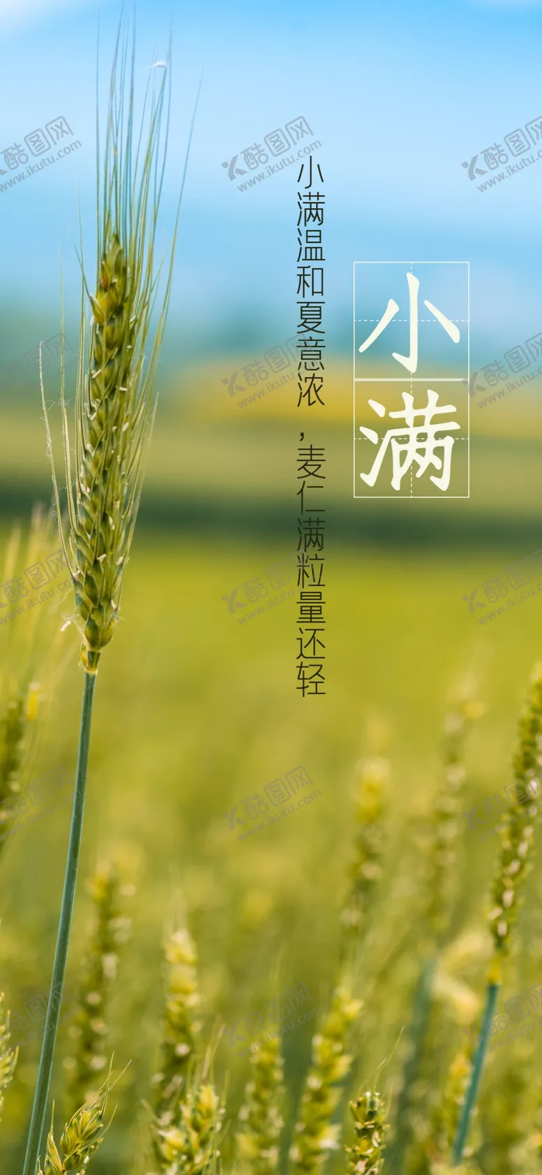 编号：82002401301753478568【酷图网】源文件下载-小满海报 