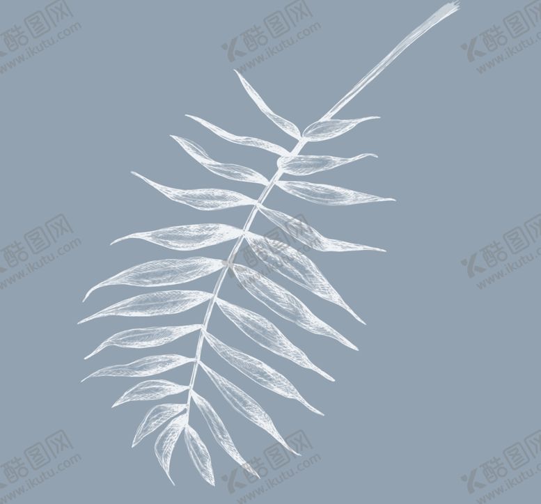 编号：88531809092320019972【酷图网】源文件下载-树叶