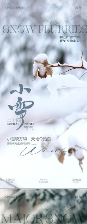小雪大雪海报