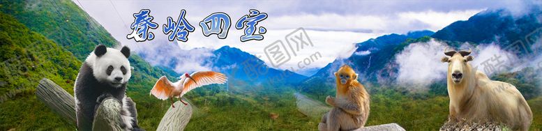 编号：89993709150253447235【酷图网】源文件下载-秦岭四宝