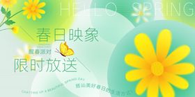 春日绽放的清新黄色花朵