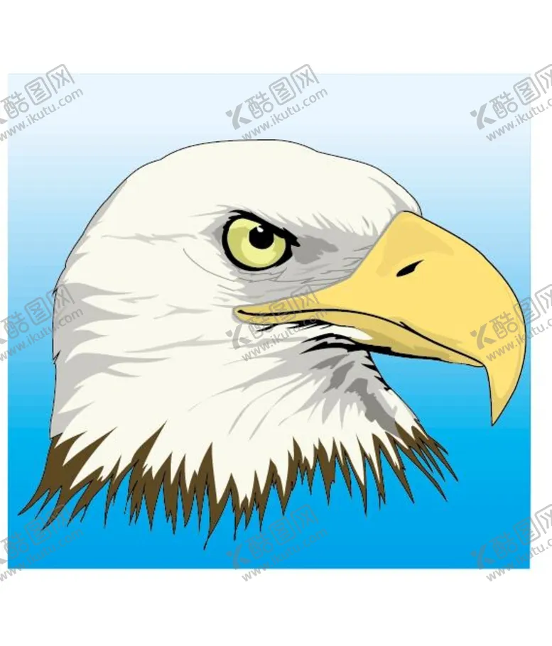 编号：72473202070417186180【酷图网】源文件下载-鹰