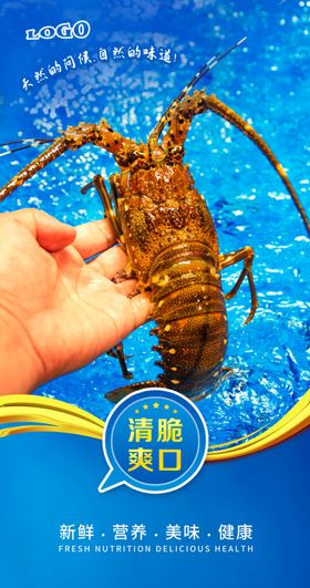 海鲜展板海报