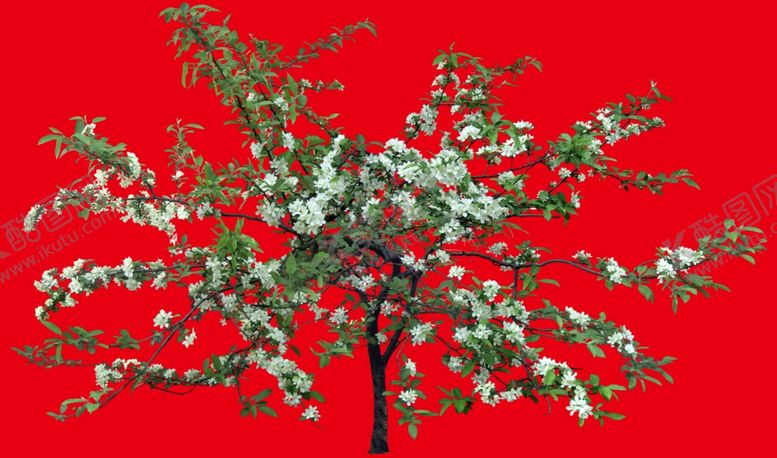 编号：73289810111223513243【酷图网】源文件下载-分层花