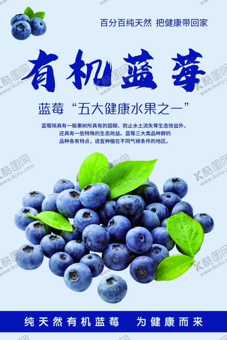 编号：20378802161255267275【酷图网】源文件下载-蓝莓海报