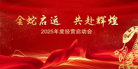 2025金蛇启运海报