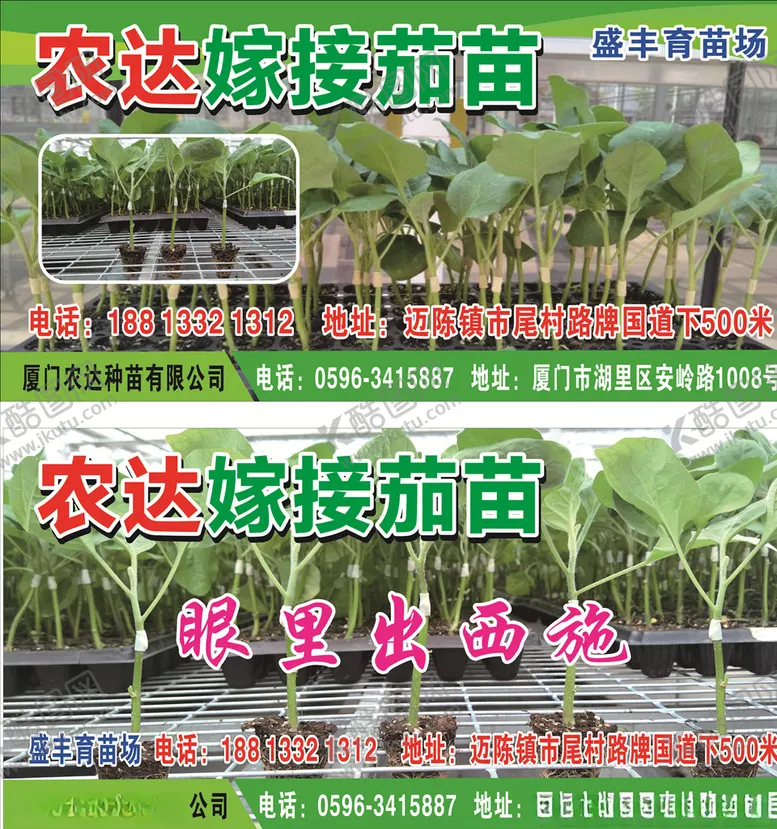 编号：67617705030329015477【酷图网】源文件下载-嫁接茄苗