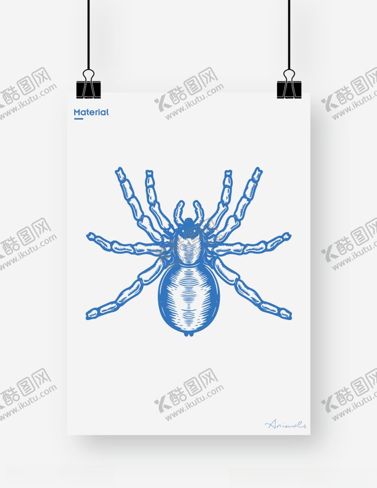 编号：83255509221913437453【酷图网】源文件下载-蜘蛛