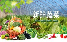 大棚蔬菜