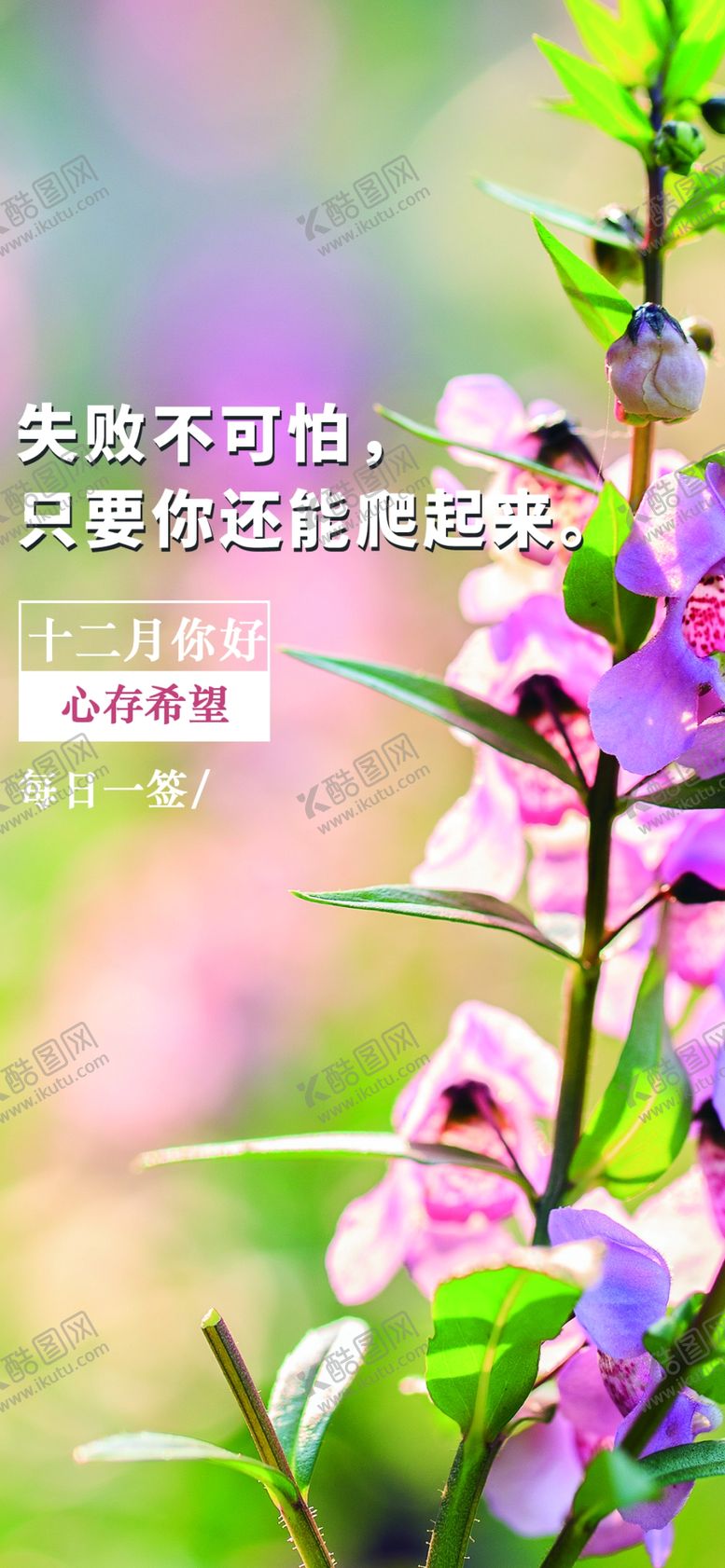 编号：11222007022018385668【酷图网】源文件下载-你好12月