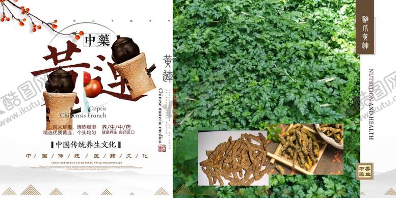 编号：89269112050219219780【酷图网】源文件下载-利川黄连