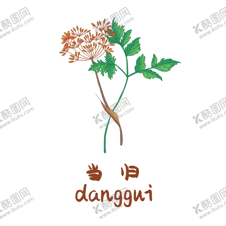 编号：81413704301500535632【酷图网】源文件下载-草本植物药材