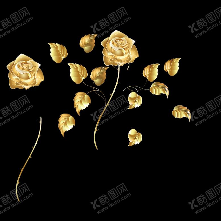 编号：82276307121228319760【酷图网】源文件下载-金色玫瑰