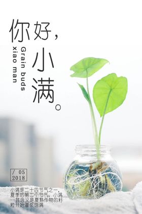 你好小满