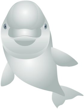 海豚