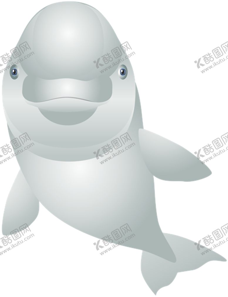 编号：46607007090028171041【酷图网】源文件下载-海豚