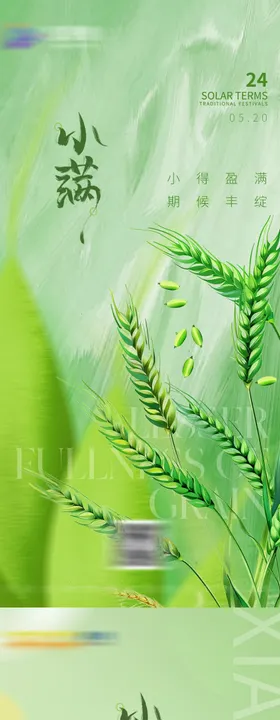 小满节气插画麦子二十四