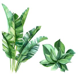 印花热带植物图案