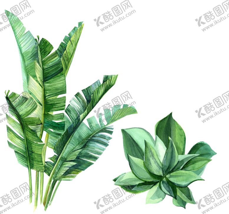 编号：10881607130025521811【酷图网】源文件下载-热带植物数码印花图案